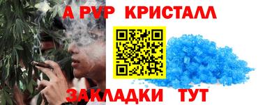 шишки Обь