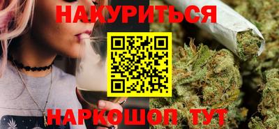 шишки Обь