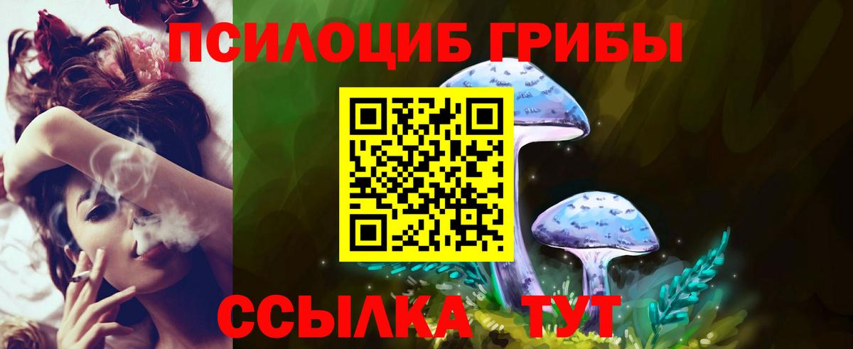 Псилоцибиновые грибы мицелий Трёхгорный